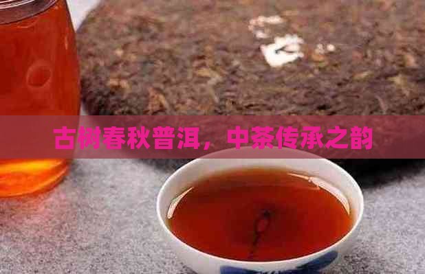 古树春秋普洱，中茶传承之韵