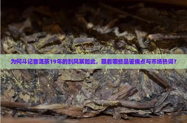 为何斗记普洱茶19年的刮风寨如此，藏着哪些品鉴痛点与市场热词？