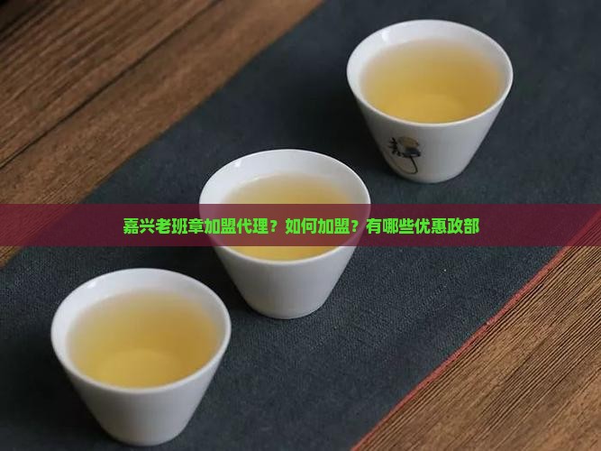 嘉兴老班章加盟代理？如何加盟？有哪些优惠政部