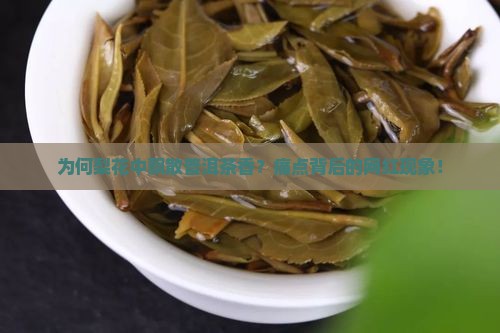 为何梨花中飘散普洱茶香？痛点背后的网红现象！
