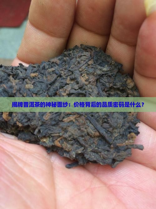 揭牌普洱茶的神秘面纱：价格背后的品质密码是什么？
