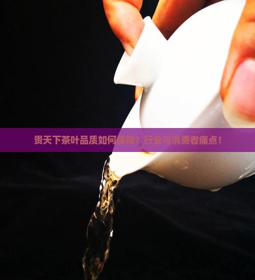 贵天下茶叶品质如何保障？行业与消费者痛点！