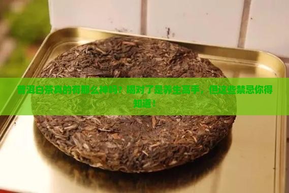 普洱白茶真的有那么神吗？喝对了是养生高手，但这些禁忌你得知道！