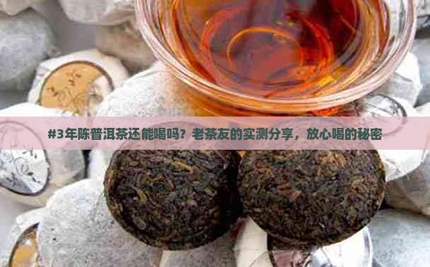 #3年陈普洱茶还能喝吗？老茶友的实测分享，放心喝的秘密