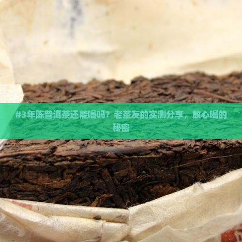 #3年陈普洱茶还能喝吗？老茶友的实测分享，放心喝的秘密