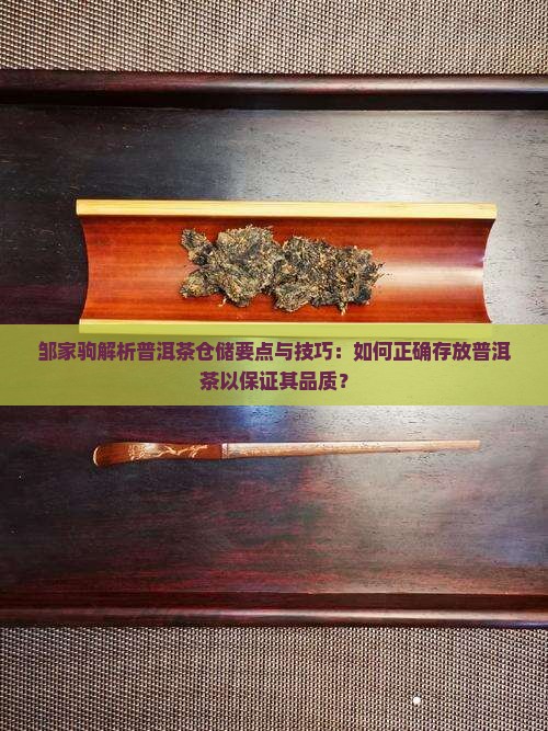 邹家驹解析普洱茶仓储要点与技巧：如何正确存放普洱茶以保证其品质？