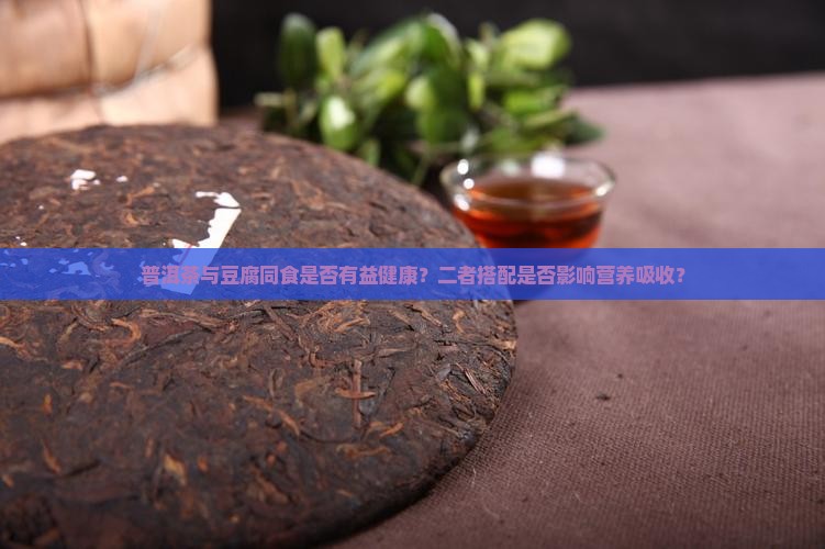 普洱茶与豆腐同食是否有益健康？二者搭配是否影响营养吸收？