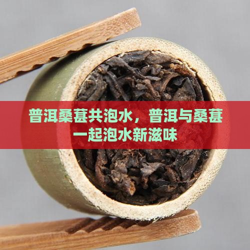 普洱桑葚共泡水，普洱与桑葚一起泡水新滋味