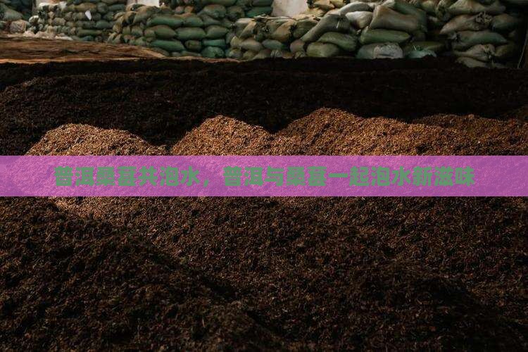 普洱桑葚共泡水，普洱与桑葚一起泡水新滋味