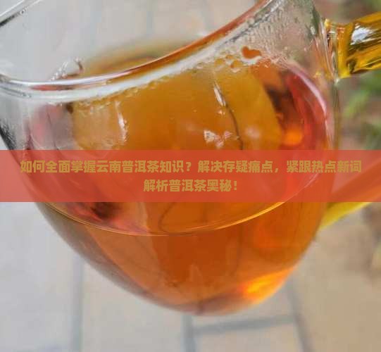 如何全面掌握云南普洱茶知识？解决存疑痛点，紧跟热点新词解析普洱茶奥秘！