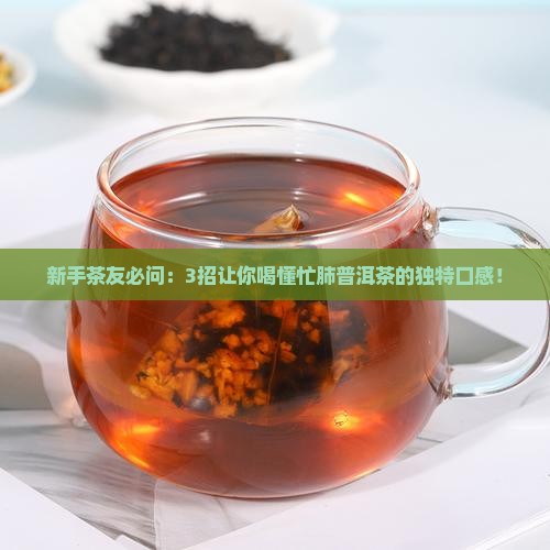 新手茶友必问：3招让你喝懂忙肺普洱茶的独特口感！
