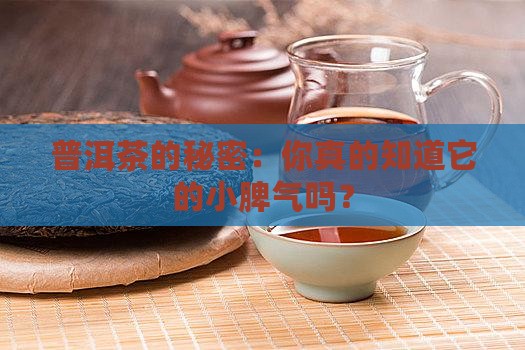 普洱茶的秘密：你真的知道它的小脾气吗？