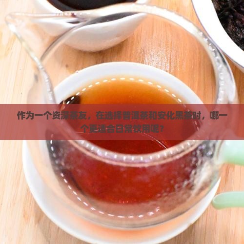 作为一个资深茶友，在选择普洱茶和安化黑茶时，哪一个更适合日常饮用呢？