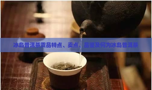 冰岛普洱茶贡品特点、卖点、品鉴及何为冰岛普洱茶