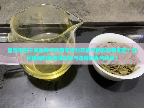 普洱茶的不同品种与存储年份对其香气的影响有哪些？如何准确辨别普洱生茶与熟茶的香气特点？