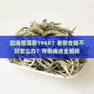 勐海普洱茶1968？老茶仓储不好怎么办？存茶痛点全解析