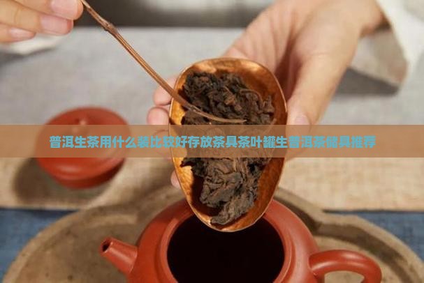 普洱生茶用什么装比较好存放茶具茶叶罐生普洱茶储具推荐