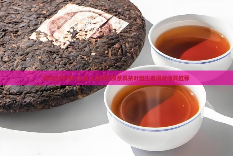 普洱生茶用什么装比较好存放茶具茶叶罐生普洱茶储具推荐