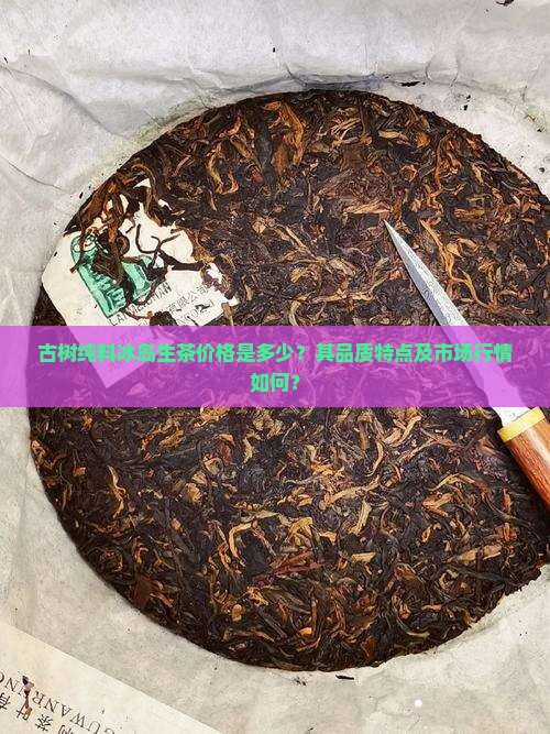 古树纯料冰岛生茶价格是多少？其品质特点及市场行情如何？