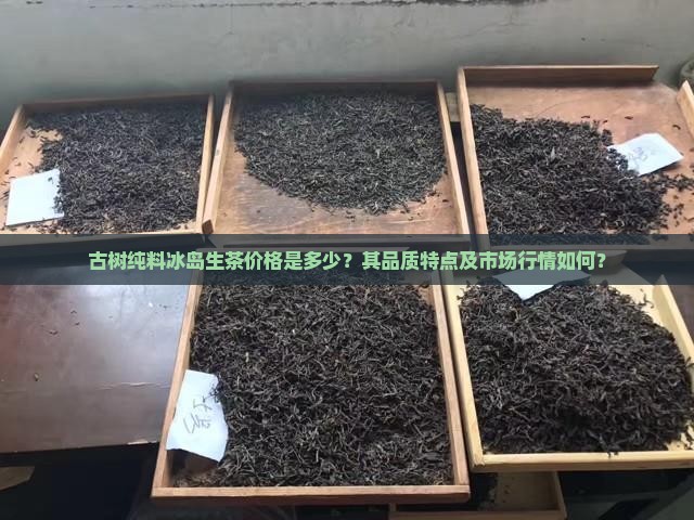 古树纯料冰岛生茶价格是多少？其品质特点及市场行情如何？