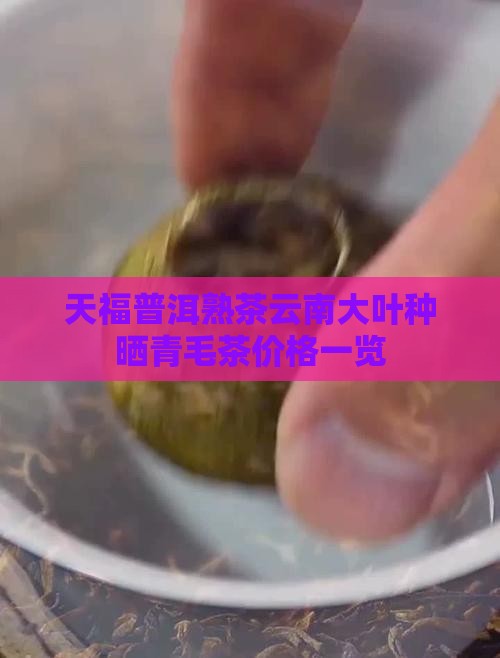 天福普洱熟茶云南大叶种晒青毛茶价格一览