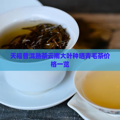 天福普洱熟茶云南大叶种晒青毛茶价格一览