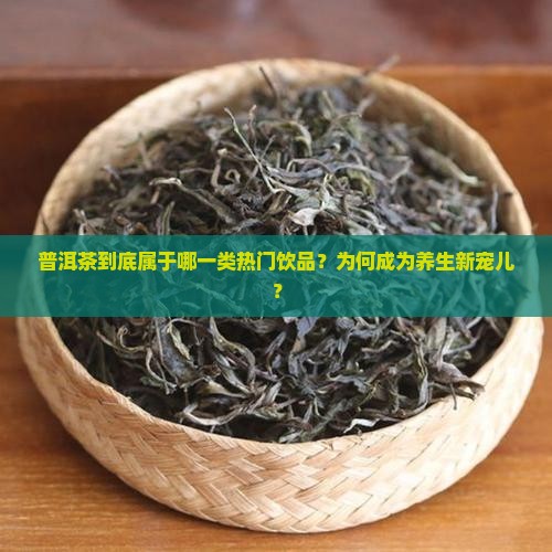 普洱茶到底属于哪一类热门饮品？为何成为养生新宠儿？