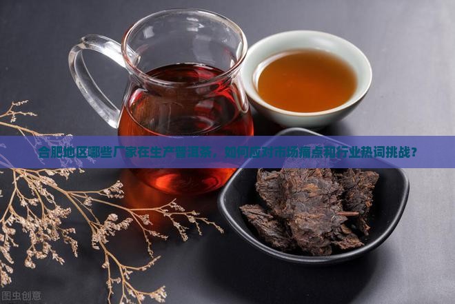 合肥地区哪些厂家在生产普洱茶，如何应对市场痛点和行业热词挑战？