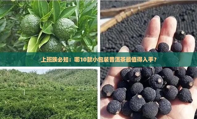 上班族必知:哪10款小包装普洱茶最值得入手? 上班族必知:哪10款小包装普洱茶最值得入手?