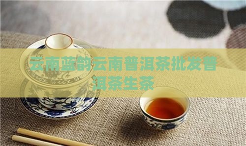云南蓝韵云南普洱茶批发普洱茶生茶 云南蓝韵云南普洱茶批发普洱茶生茶