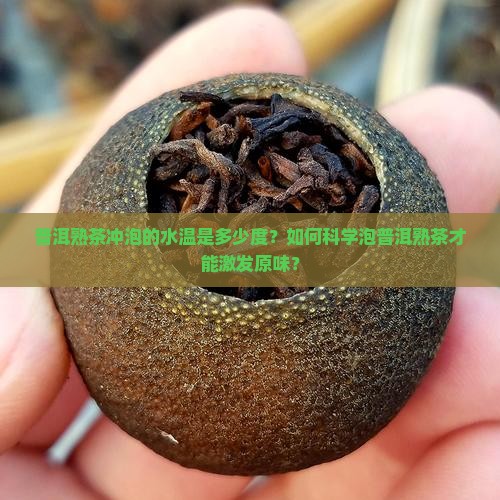 普洱熟茶冲泡的水温是多少度?如何科学泡普洱熟茶才能激发原味? 普洱熟茶冲泡的水温是多少度?如何科学泡普洱熟茶才能激发原味?