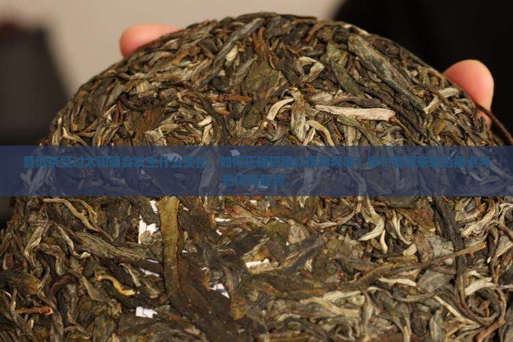 普洱茶经过太阳晒会发生什么变化，如何正确晾晒以保持风味？探讨普洱茶晒后痛点与热词新趋势。