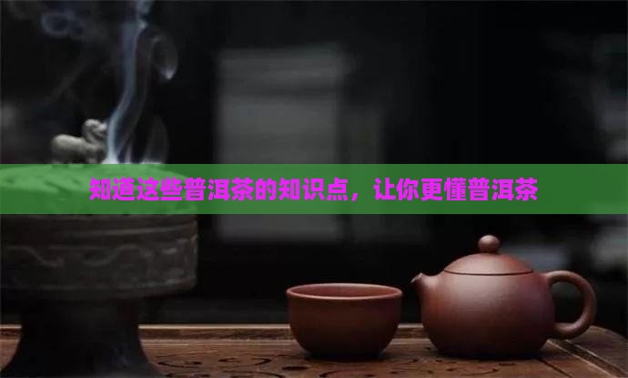 知道这些普洱茶的知识点，让你更懂普洱茶