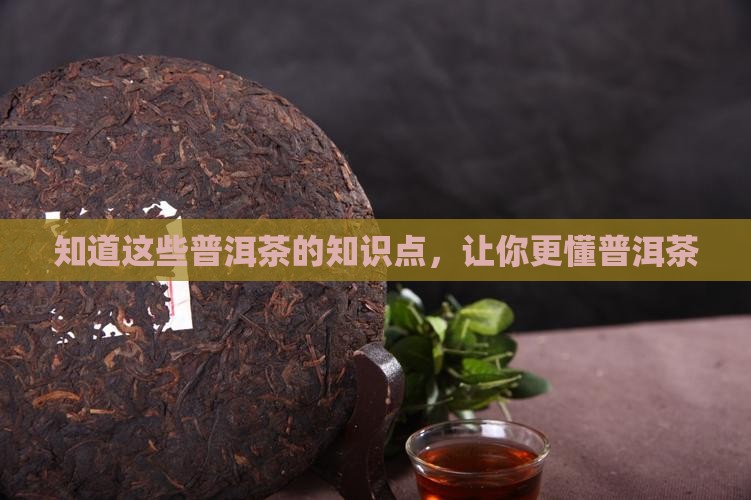 知道这些普洱茶的知识点，让你更懂普洱茶