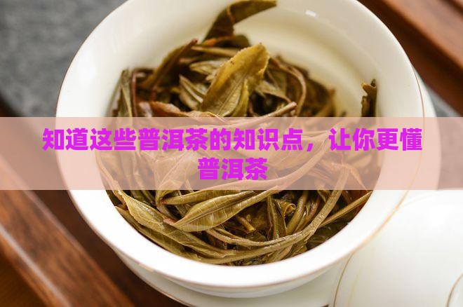 知道这些普洱茶的知识点，让你更懂普洱茶