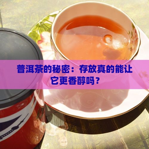 普洱茶的秘密：存放真的能让它更香醇吗？