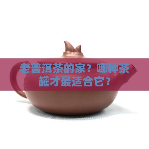 老普洱茶的家？哪种茶罐才最适合它？