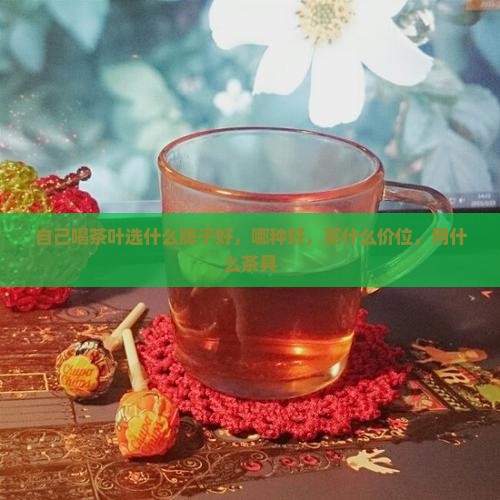 自己喝茶叶选什么牌子好，哪种好，买什么价位，用什么茶具