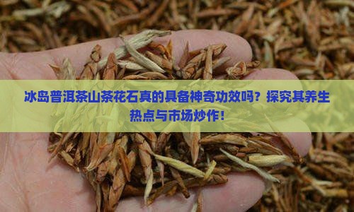 冰岛普洱茶山茶花石真的具备神奇功效吗？探究其养生热点与市场炒作！