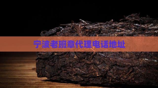 宁波老班章代理电话地址