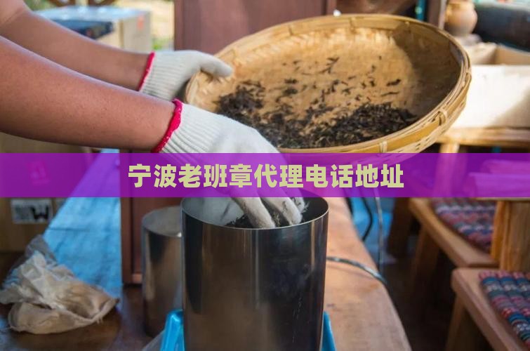 宁波老班章代理电话地址