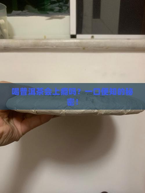 喝普洱茶会上瘾吗？一口便知的秘密！