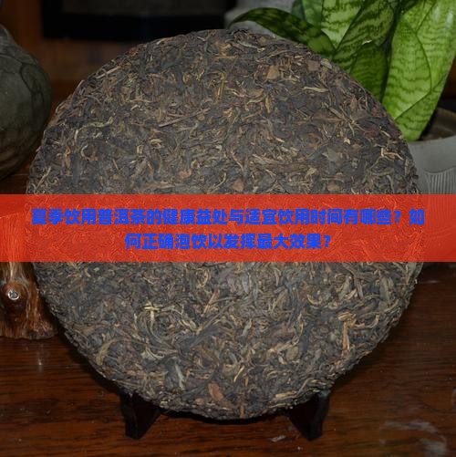 夏季饮用普洱茶的健康益处与适宜饮用时间有哪些？如何正确泡饮以发挥最大效果？
