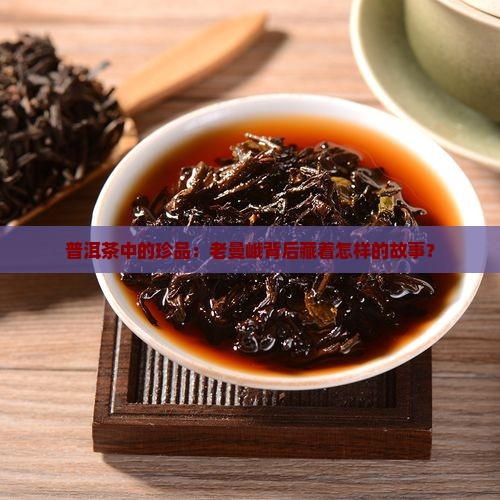 普洱茶中的珍品：老曼峨背后藏着怎样的故事？