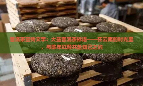 普洱茶宣传文字：大益普洱茶标语——在云南的时光里，与陈年红颜共赴知己之约