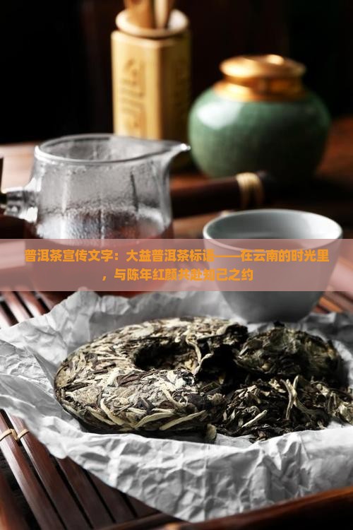 普洱茶宣传文字：大益普洱茶标语——在云南的时光里，与陈年红颜共赴知己之约