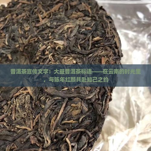 普洱茶宣传文字：大益普洱茶标语——在云南的时光里，与陈年红颜共赴知己之约