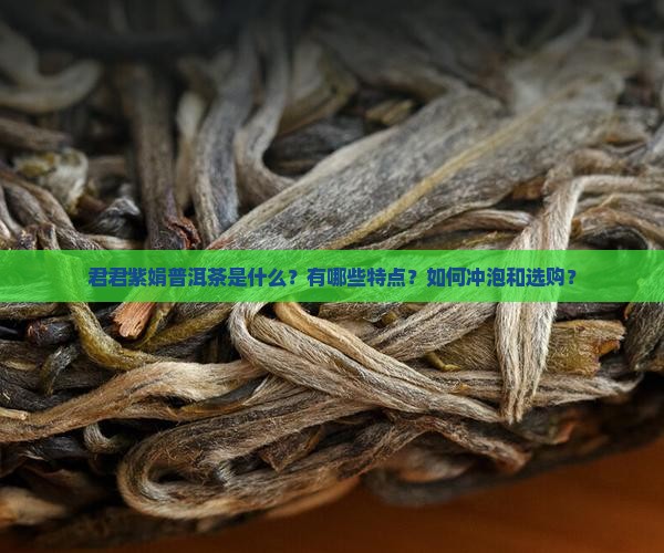 君君紫娟普洱茶是什么？有哪些特点？如何冲泡和选购？