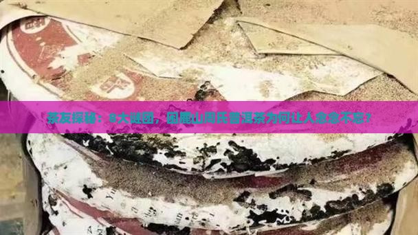 茶友探秘：8大谜团，困鹿山周氏普洱茶为何让人念念不忘？