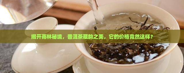 揭开雨林秘境，普洱茶藏韵之美，它的价格竟然这样？